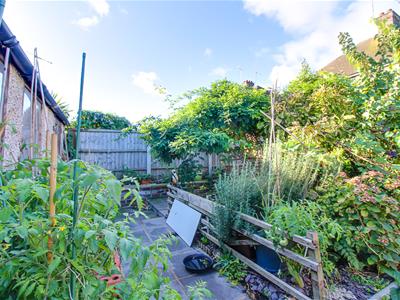 Picture 20